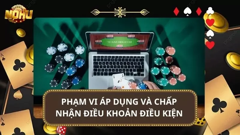 Chi tiết về phạm vi áp dụng trong các điều khoản